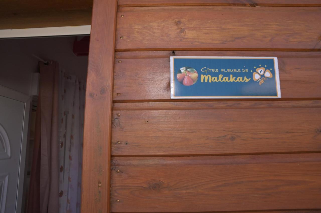 Gites Fleurs D'Abeilles Anse-Bertrand Exterior photo